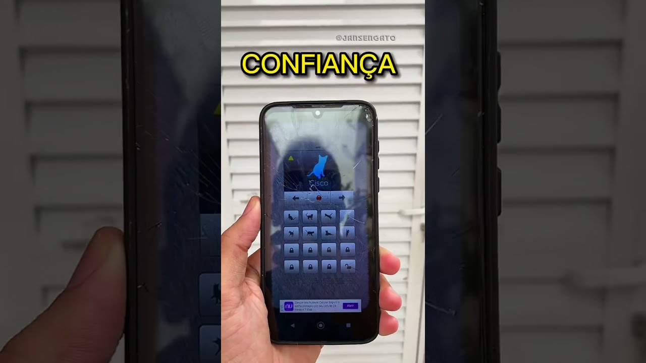 APP TRADUTOR DE HUMANO PARA GATOS - TESTE DE CONFIANÇA