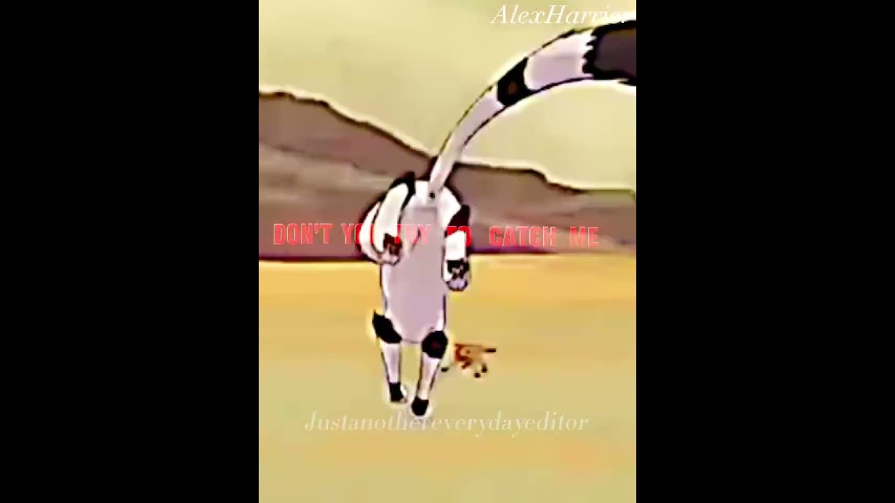 Rusty VS Longtail- Don’t you try to catch me~ 