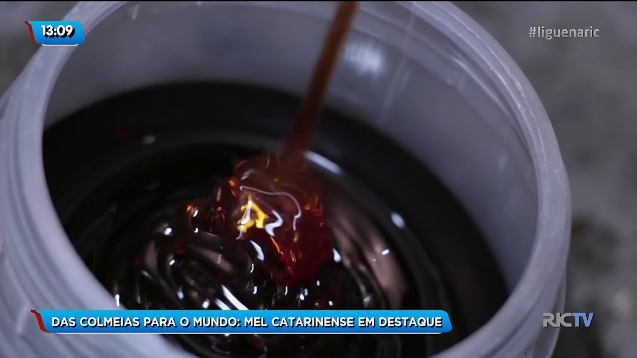 Mel catarinense é destaque no mundo todo