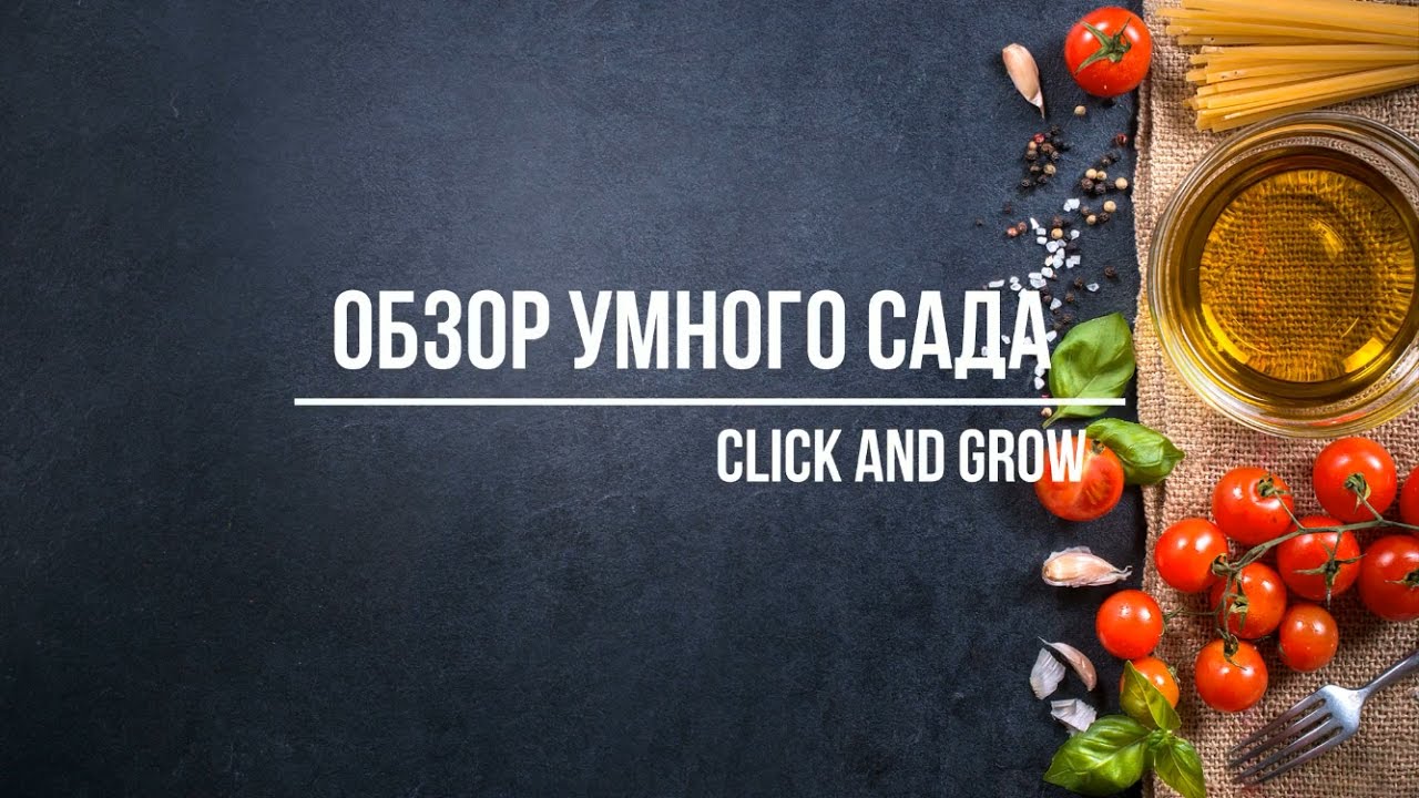 Обзор умного сада Click and Grow