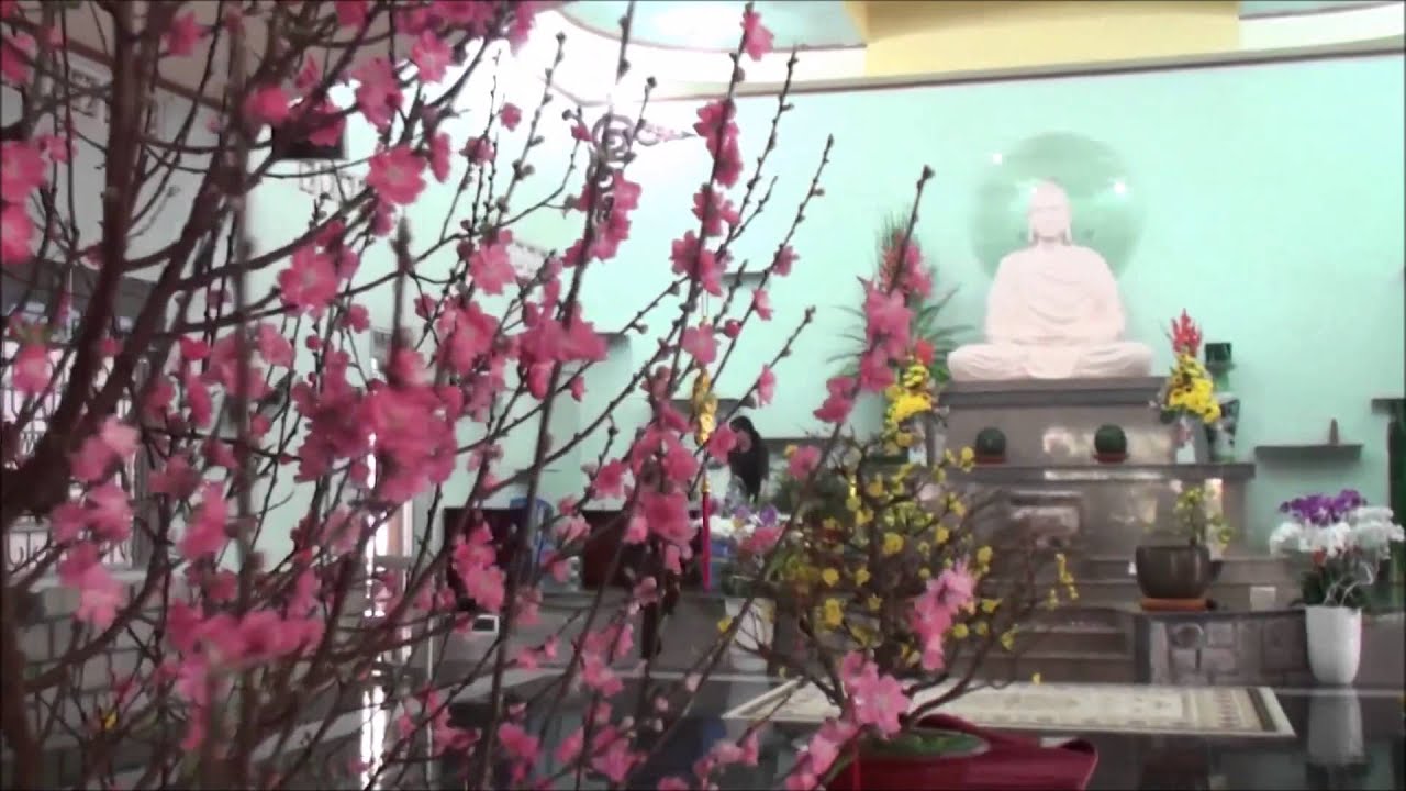 Dâng Hoa - Bảo Phúc