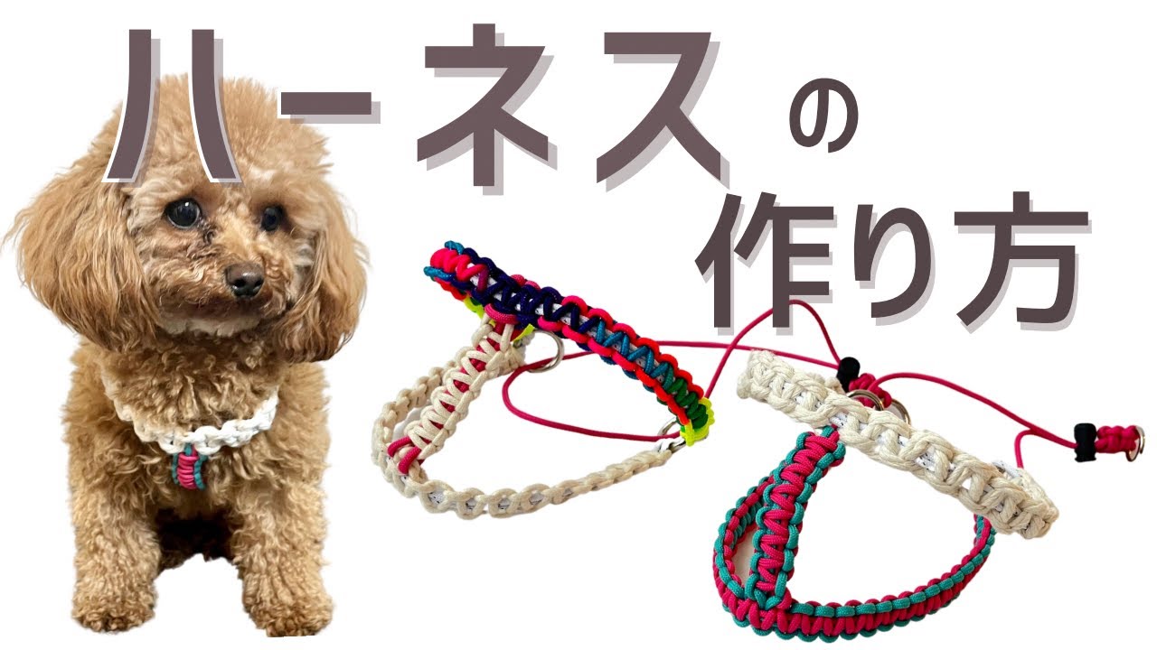 世界一簡単なハーネスの作り方✨🐕‍🦺