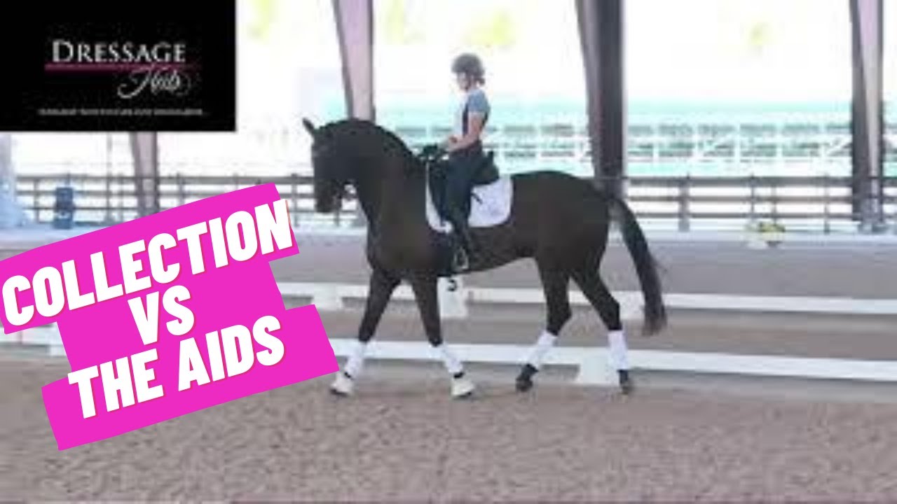 Collection VS The Aids