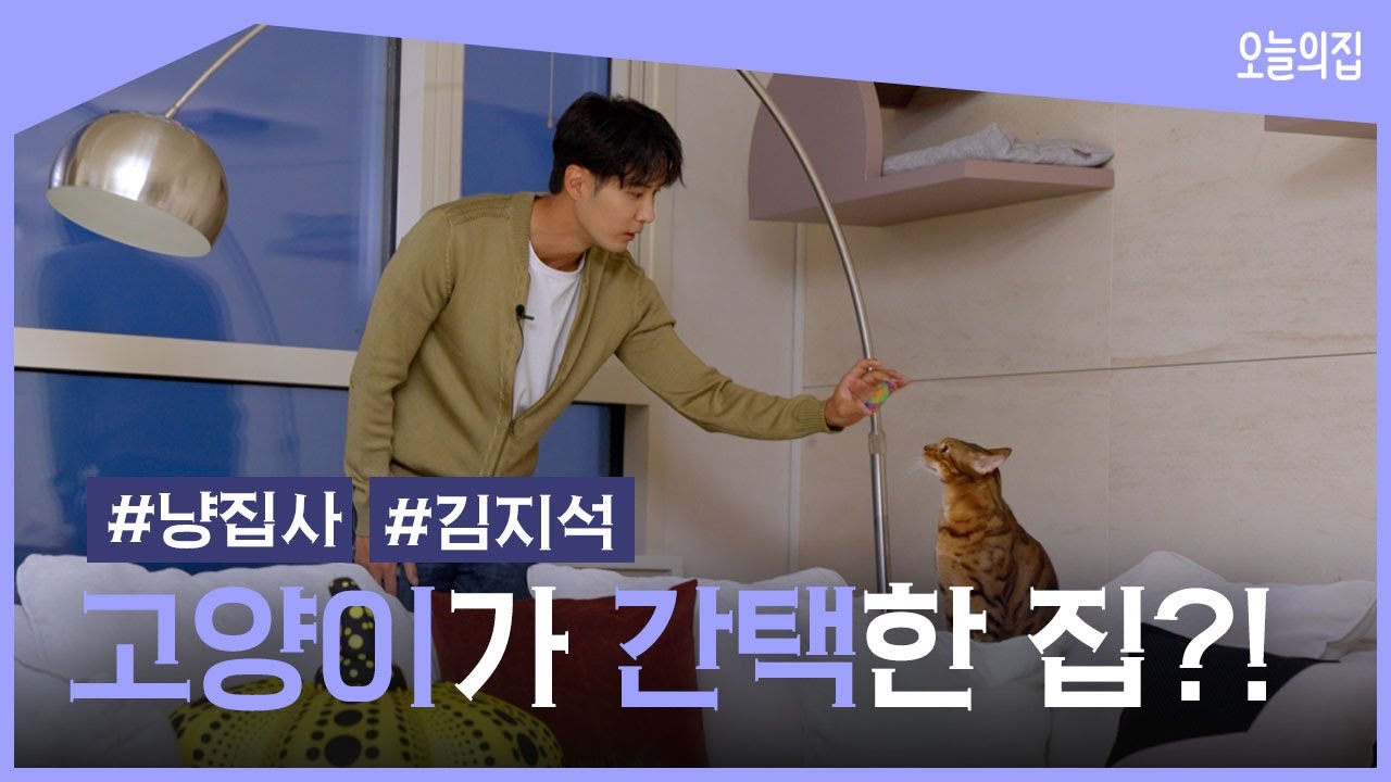 반려묘 치토를 위한 인테리어 공개! (feat.뇌섹남 김지석✨) | 오늘의zip ep.02