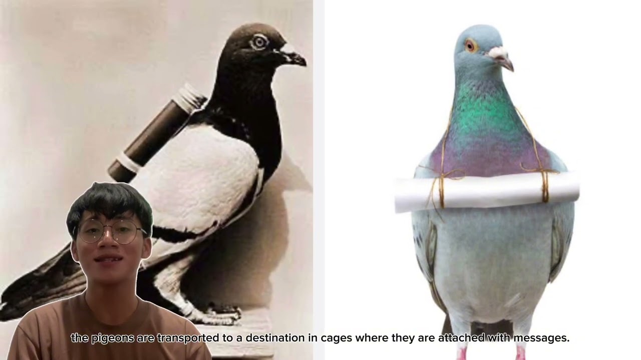 The Evolution of Communication. (Visual, Wired, and Wireless era)  Ps. For educational purposes only