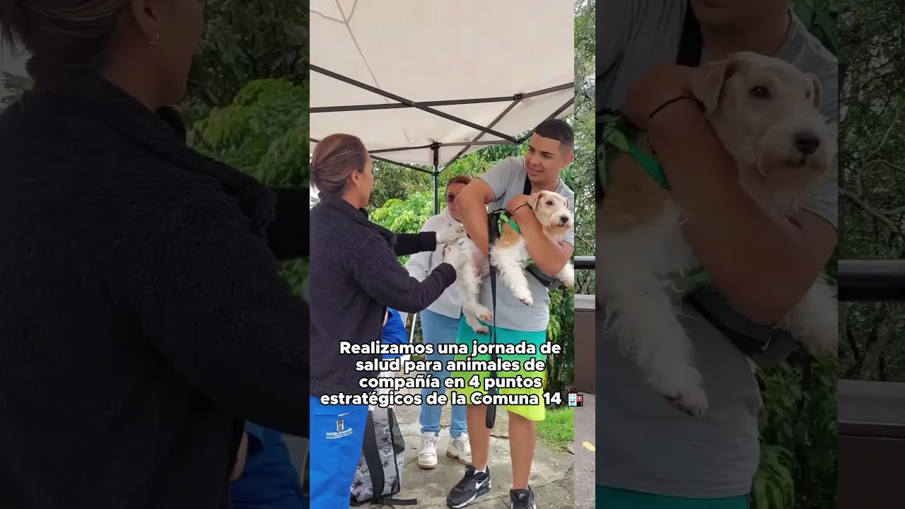Aplicamos m&aacute;s de 200 vacunas contra la rabia. Estamos realizando jornadas de salud para los animales