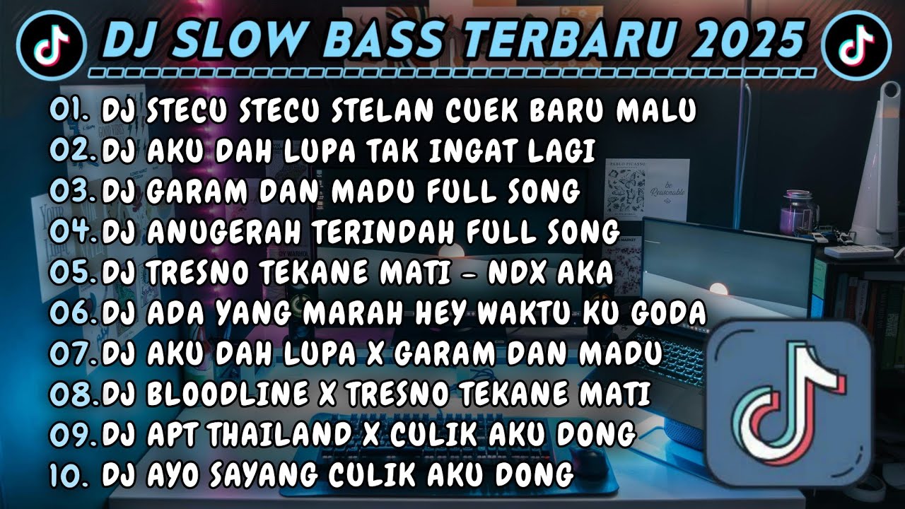 DJ SLOWBASS TERBARU 2025 || DJ STECU STECU STELAN CUEK BARU MALU || DJ AKU DAH LUPA TAK INGAT LAGI