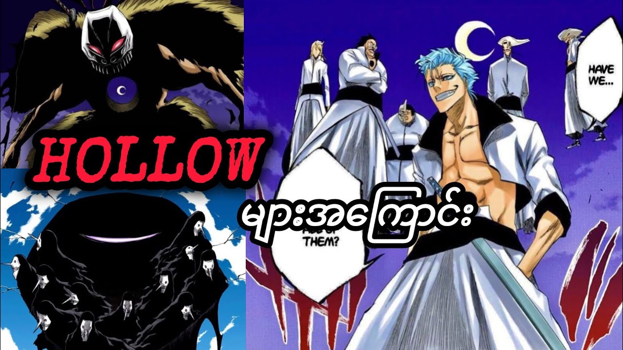 Hollow များအကြောင်း                             Bleach ရဲ့ Power System ကိုရှင်းပြခြင်း(Part 2)