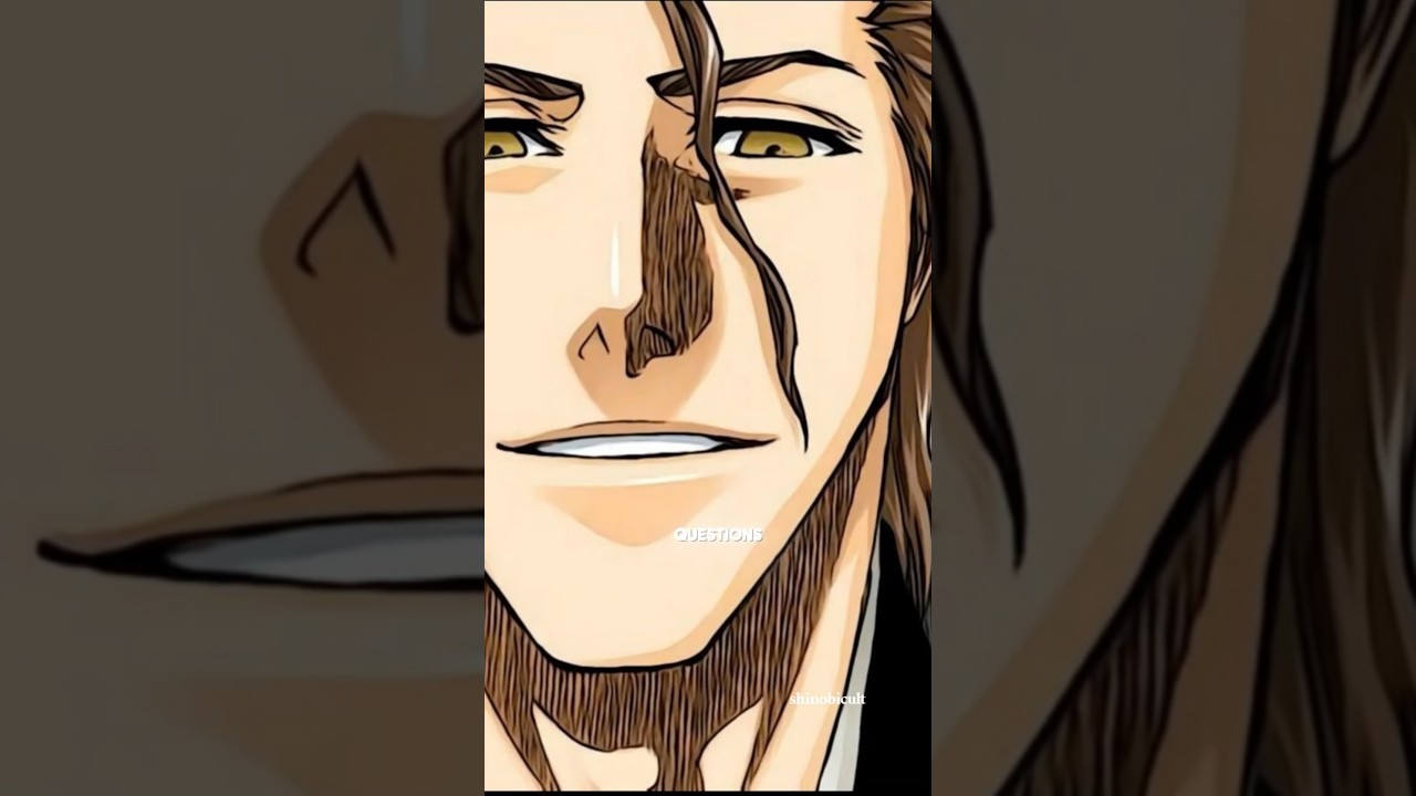 Was AIZEN truly EVIL?  