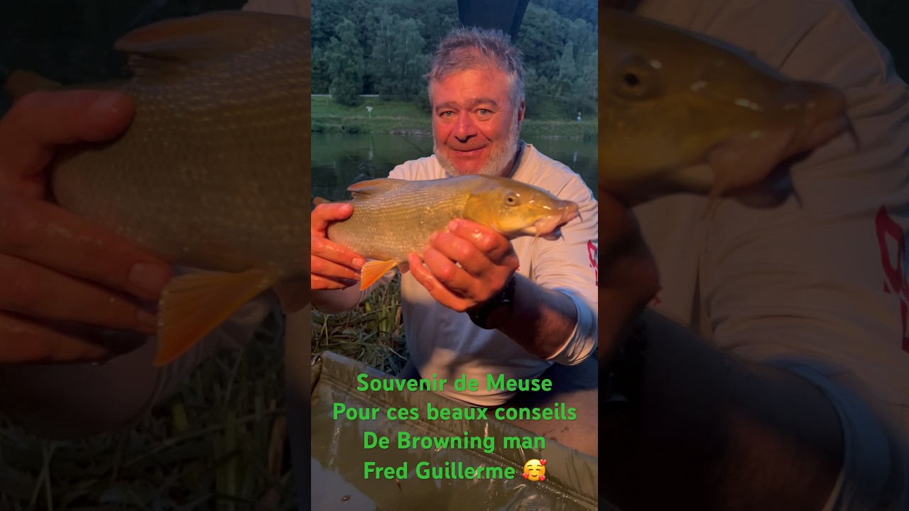 Barbel in Meuse 2023 #p&ecirc;che #feeder #barbeau