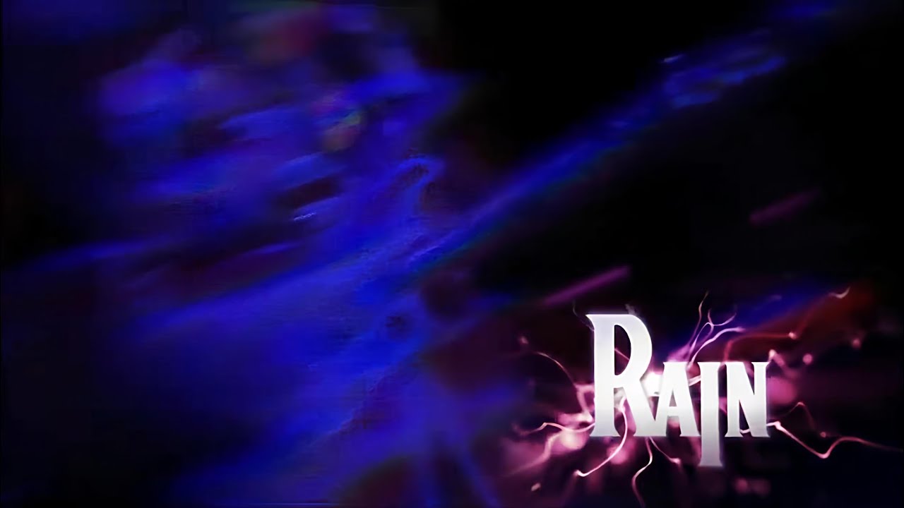 RAIN: A Tribute To The Beatles 2008