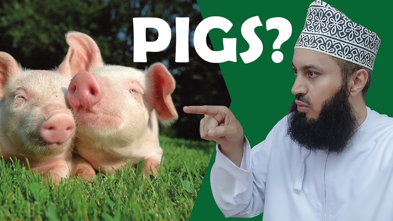 Why be kind to PIGS and DOGS??? - Mufti Menk