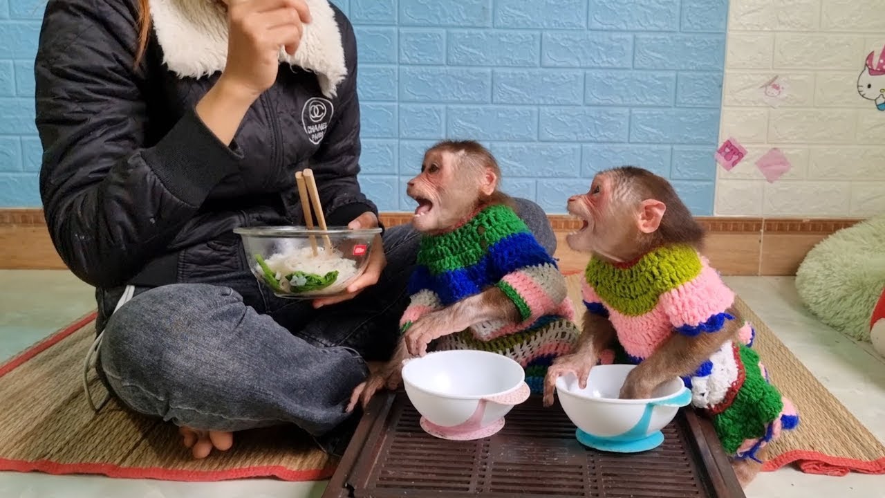 Mimi Kuku cries urging Mom to cook quick pho for breakfast