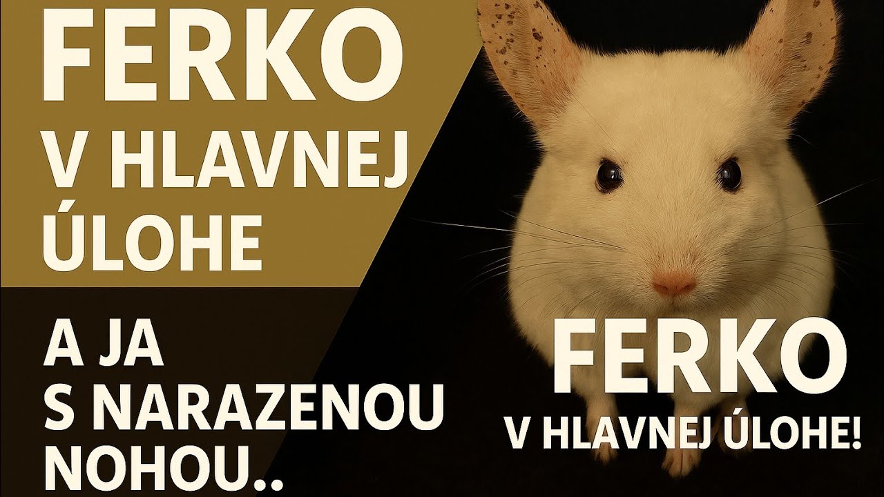 Ferko v hlavnej úlohe a ja s narazenou nohou... - IvyAChins 