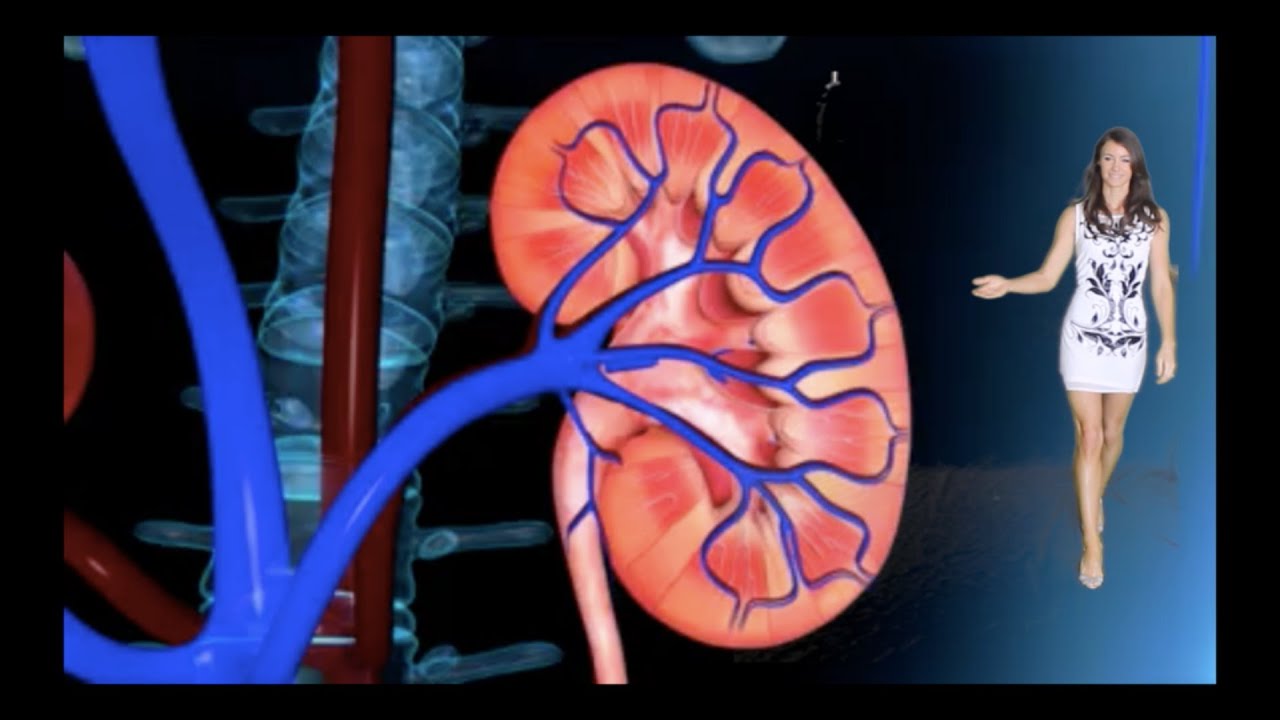 Chronic Renal Failure - for Nurses & Nursing Students