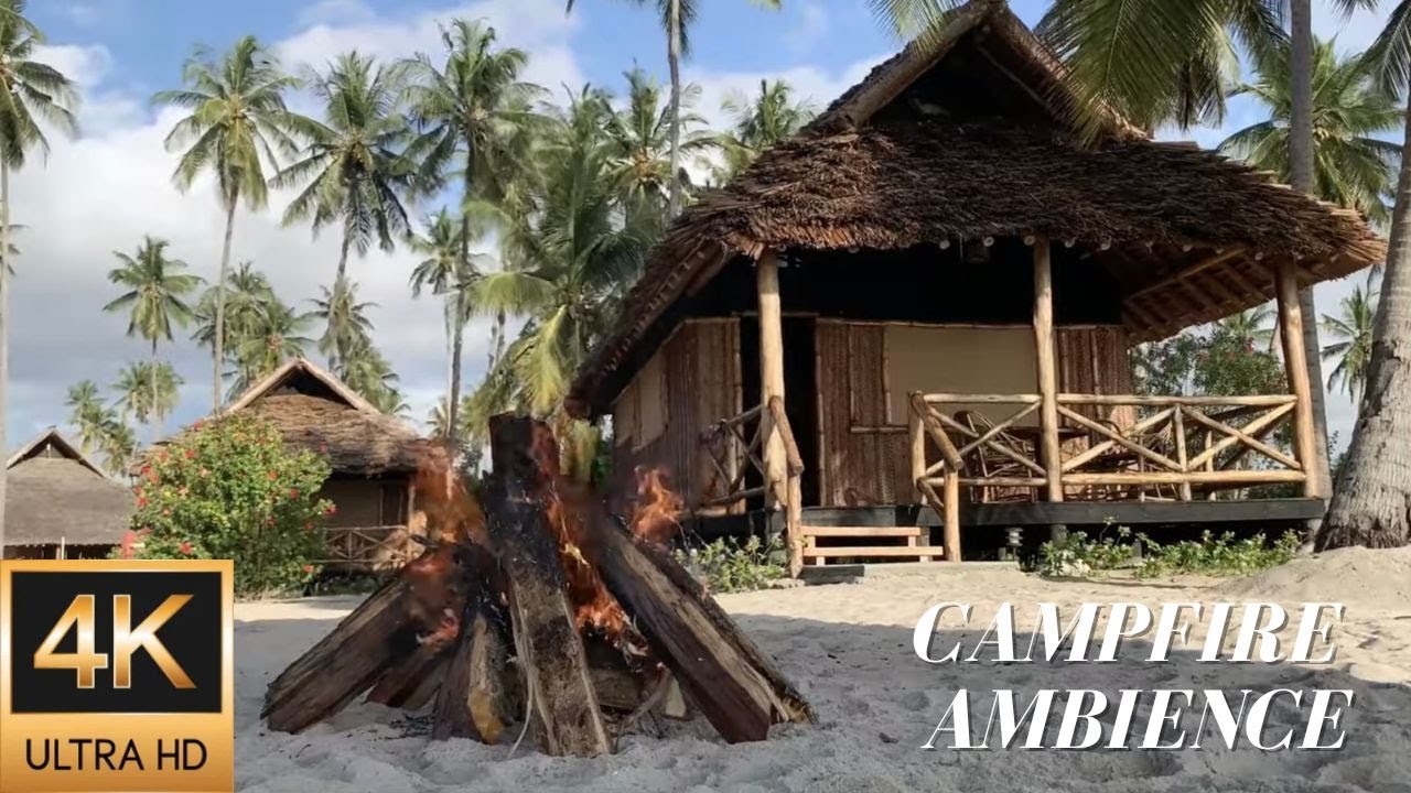 4K Campfire Ambience at a Beach Hut on a Palm Lined Tanzanian Beach - Relaxing Fire & Nature Sounds