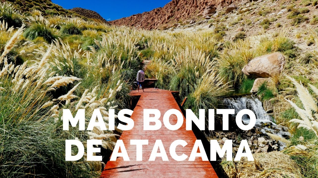 NÃO DEIXE DE VISITAR NO ATACAMA | Termas Puritamas e Geiser del Tatio