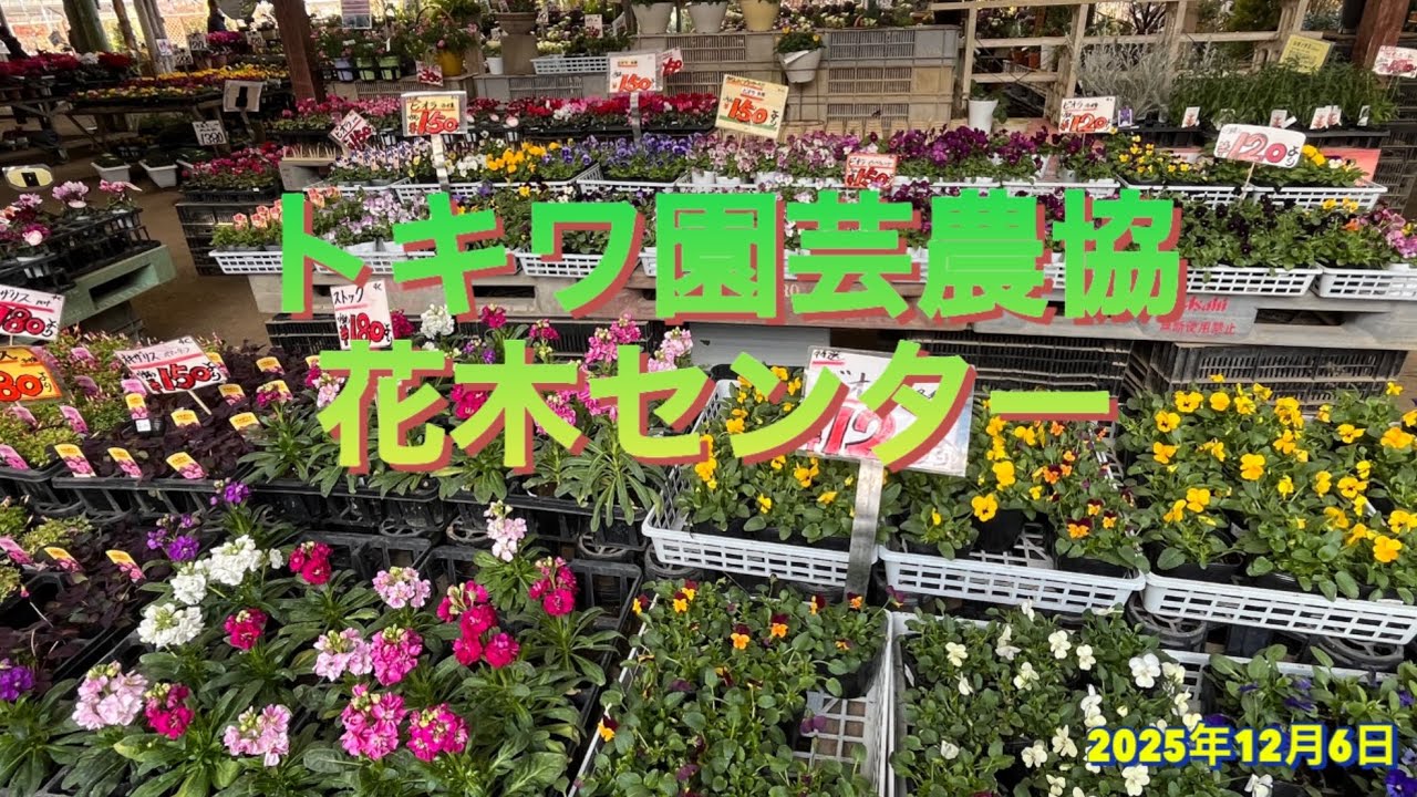トキワ園芸農協花木センターに行ってきました
