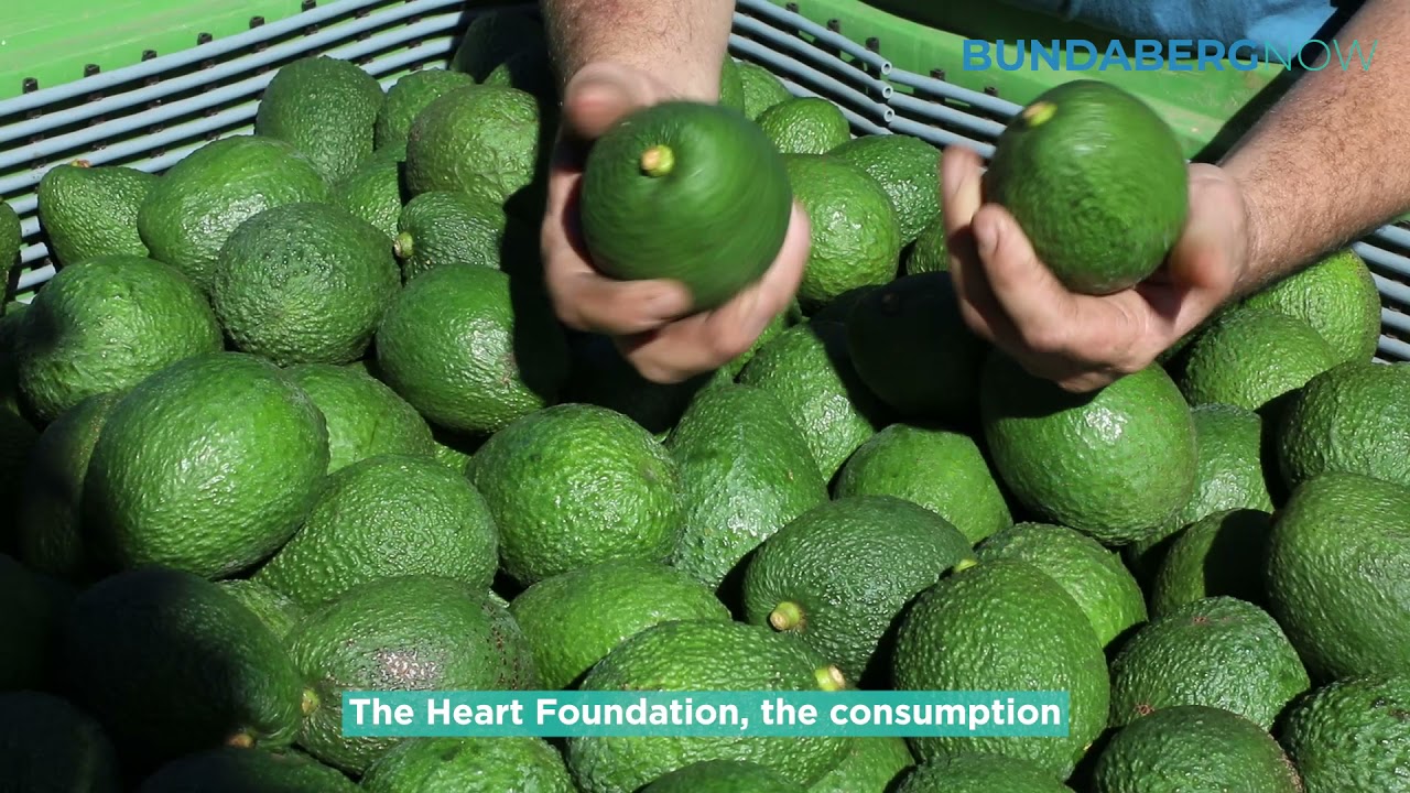 Fresh Fields Farms Blue Lagoon Avocados