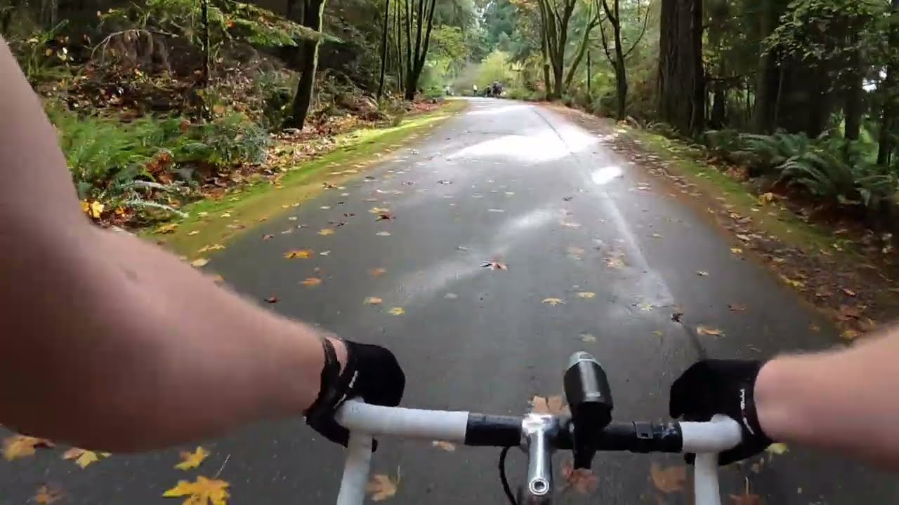 Wet Pavement / Leaves | ASMR | Raw Audio Bike Ride at 5-Mile Drive (Pt. Defiance Park) in Tacoma, WA