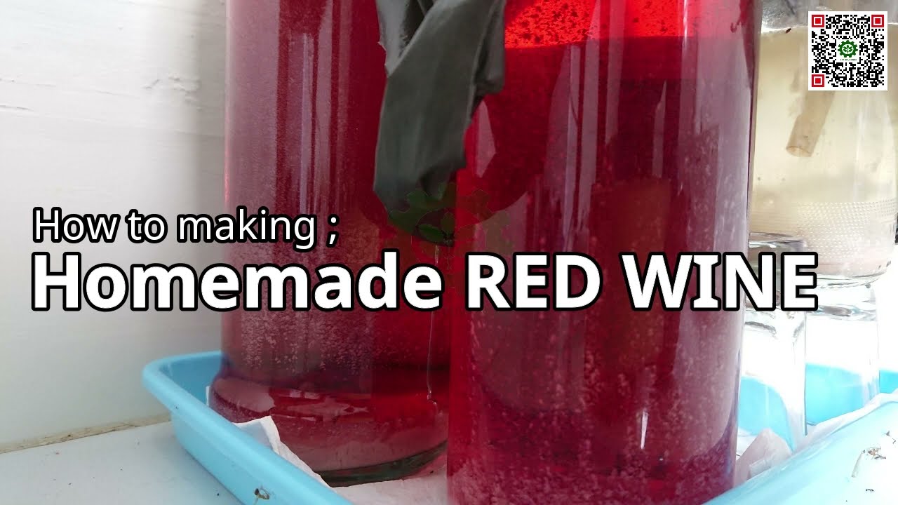 inspirasi UMKM ; How to Making Homemade RED WINE