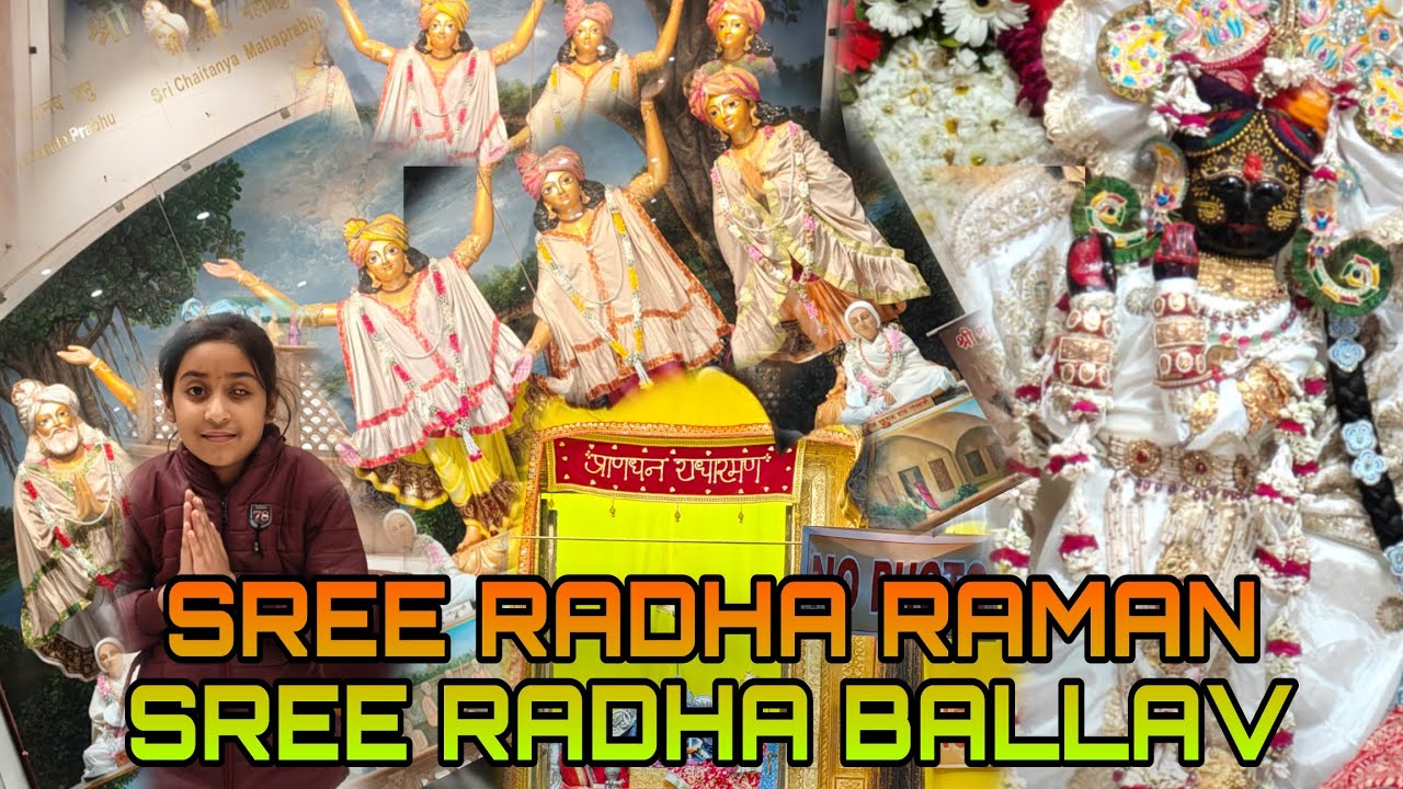 SREE RADHA RAMAN SREE RADHA DAMODAR SREE RADHA BALLAV DARSHAN VRIDAVAN @souravsarkar6299 #vrindavan