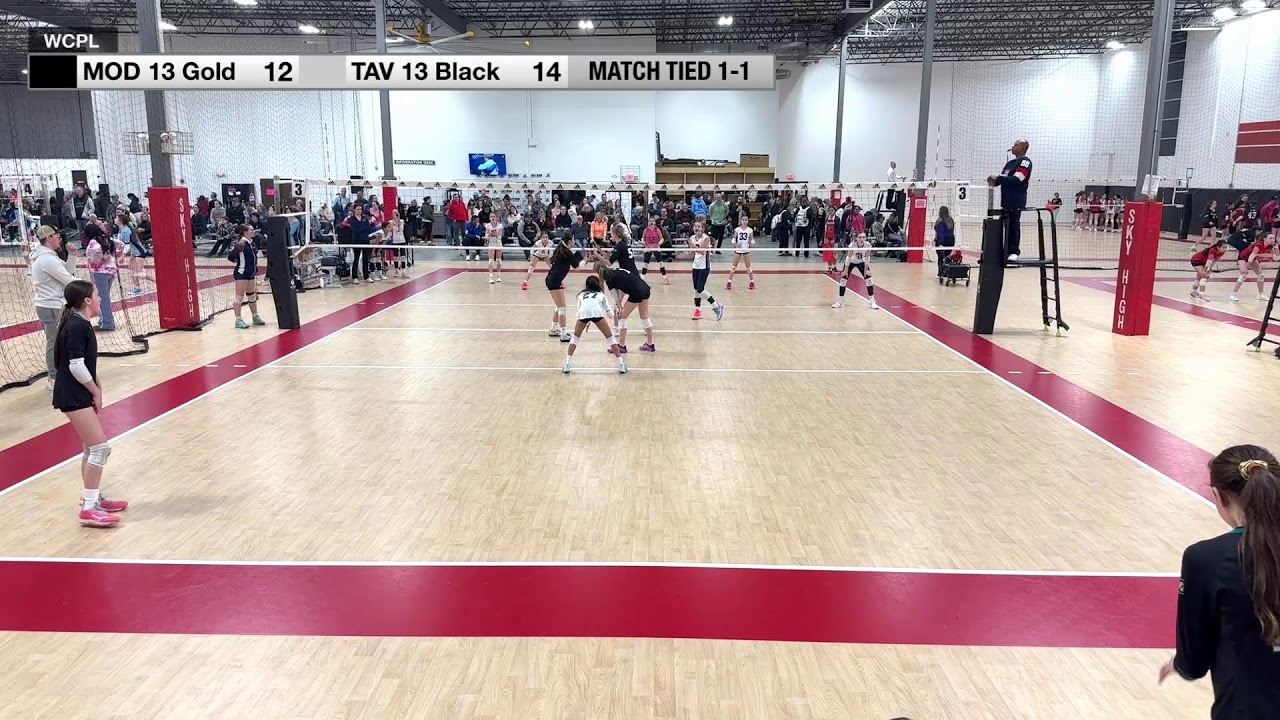 MOD G13 Gold vs TAV 13 Black
