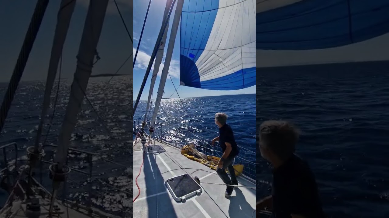 S/V Amica