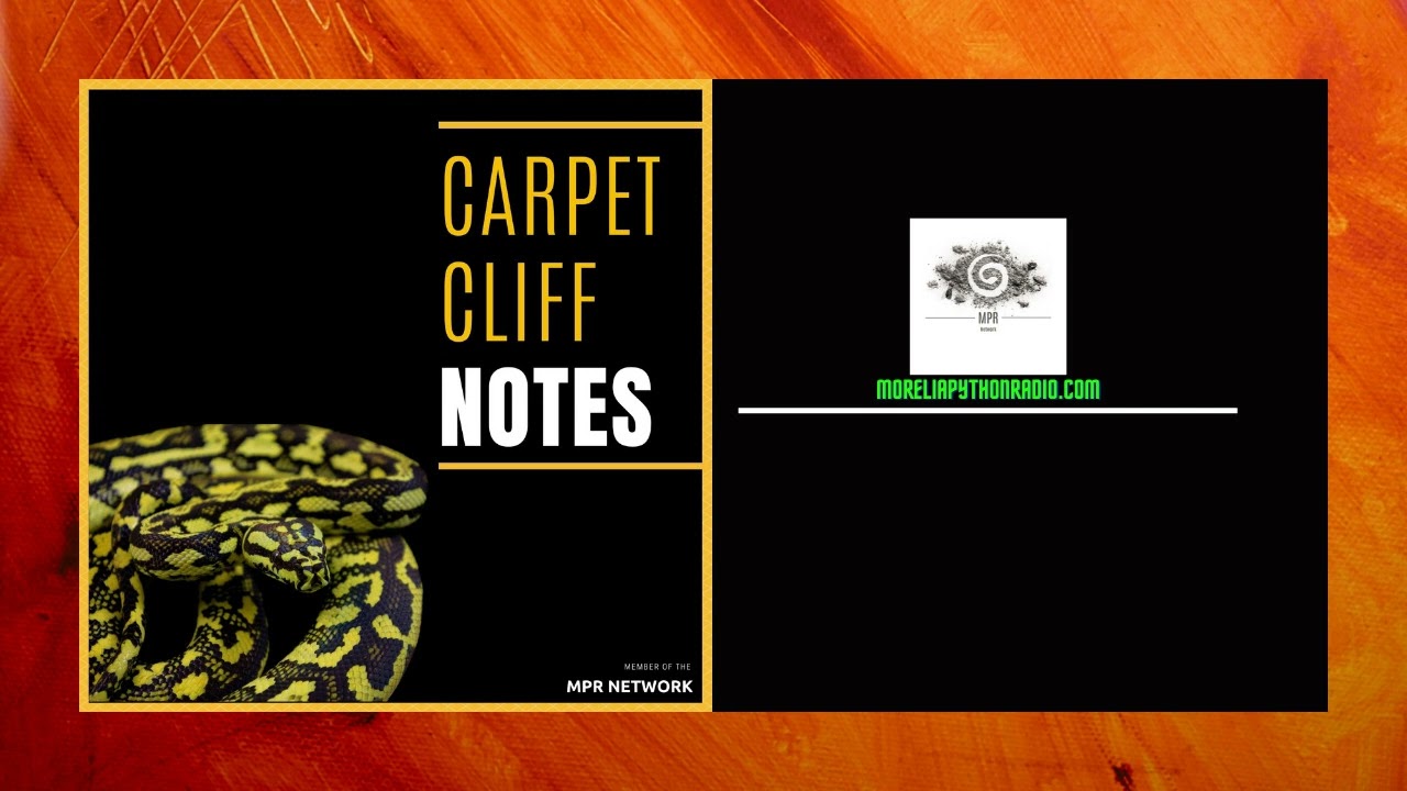 Things To Know Before You Purchase a Carpet Python