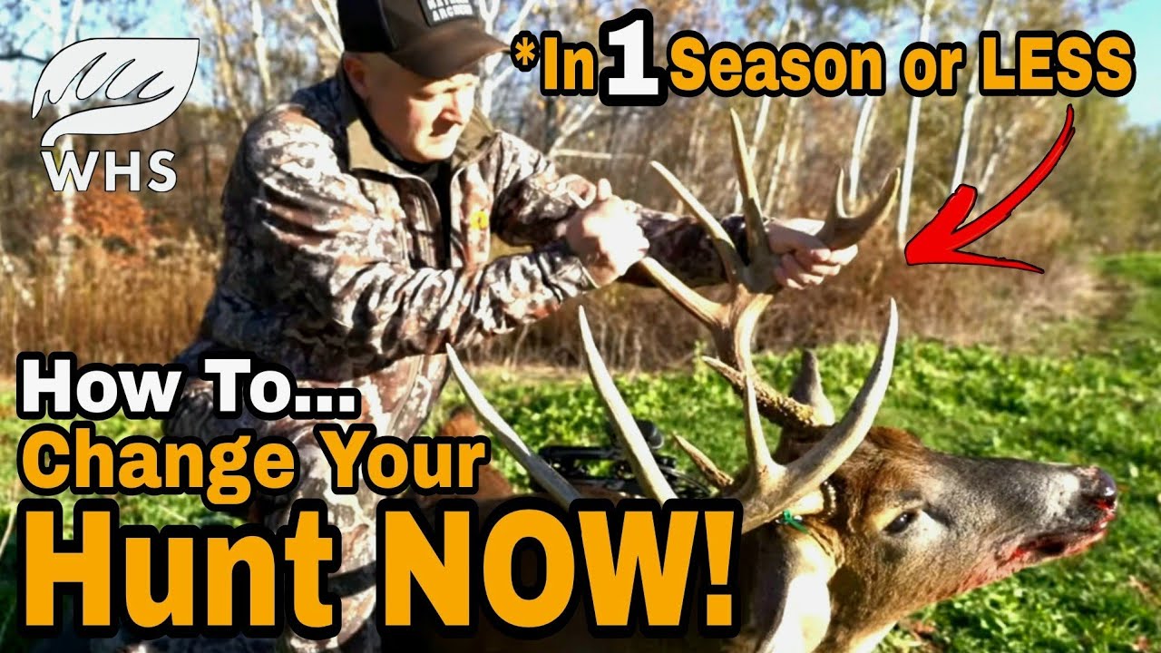 Rapid Deer Habitat Improvement Results