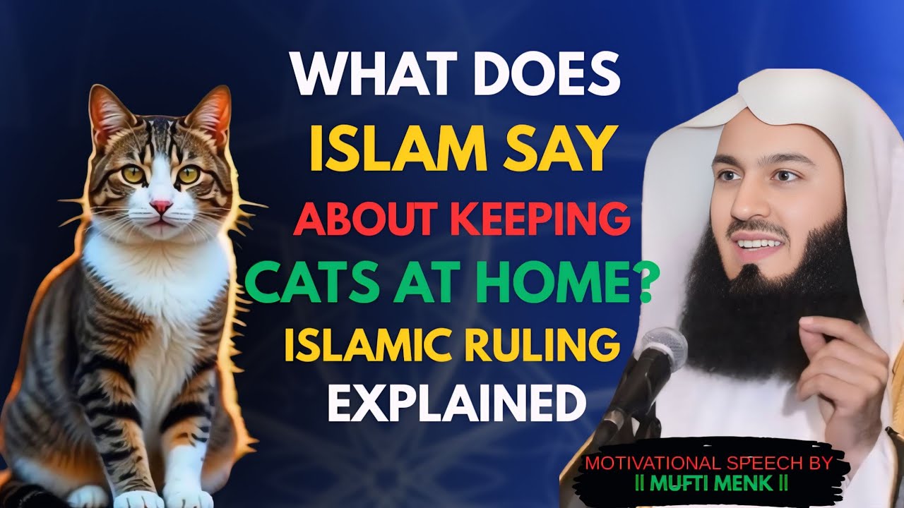 &ldquo;What Does Islam Say About Keeping Cats at Home? | Islamic Ruling Explained