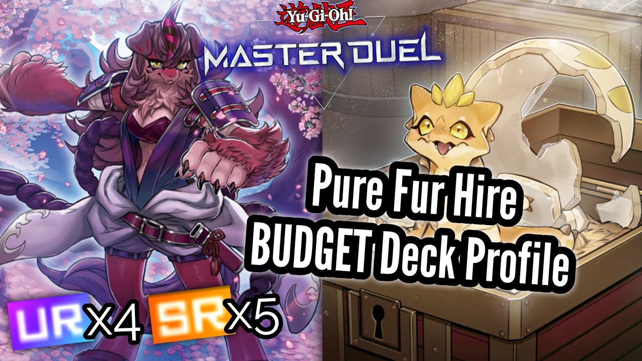 MAY 2023 UPDATE Pure Fur Hire BUDGET/F2P Deck Profile Yu-Gi-Oh! Master Duel (+Commented Replay)