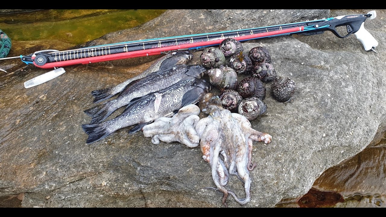 Spearfishing Little Bay Sydney June 2023