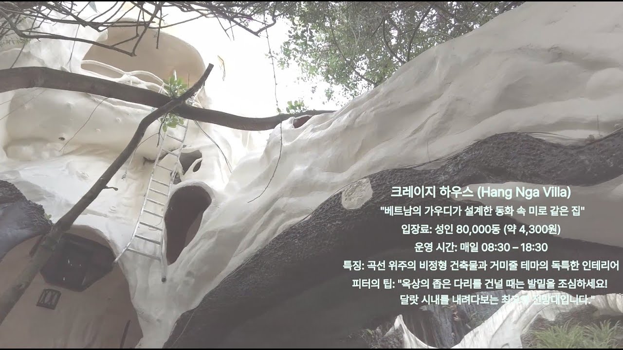 달랏 3일차 241019