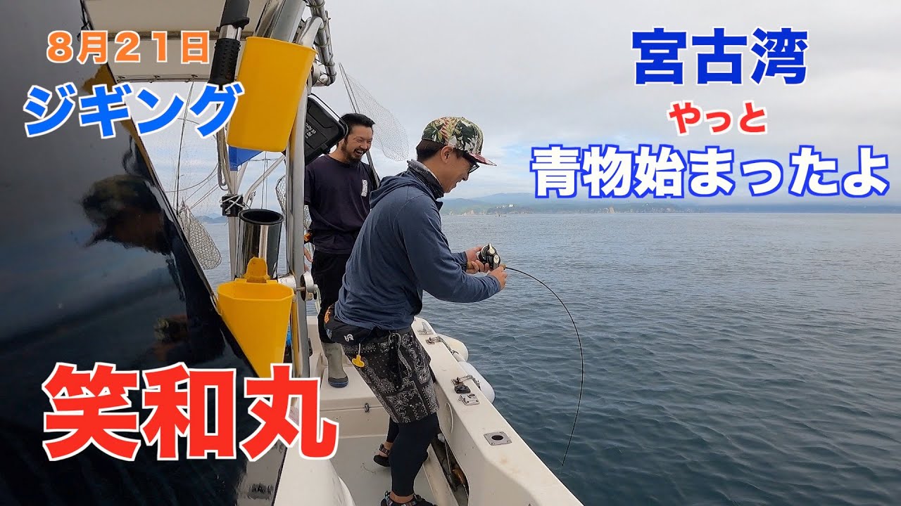 宮古湾　青物始まったよ