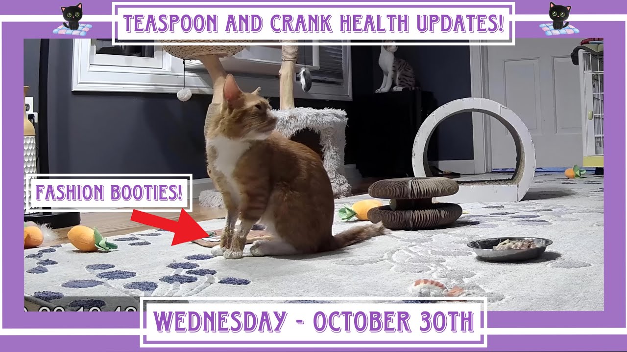 Teaspoon and Crank Health Update! - Wednesday - October 30th