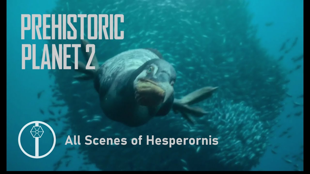 Prehistoric Planet 2 all scenes of Hesperornis