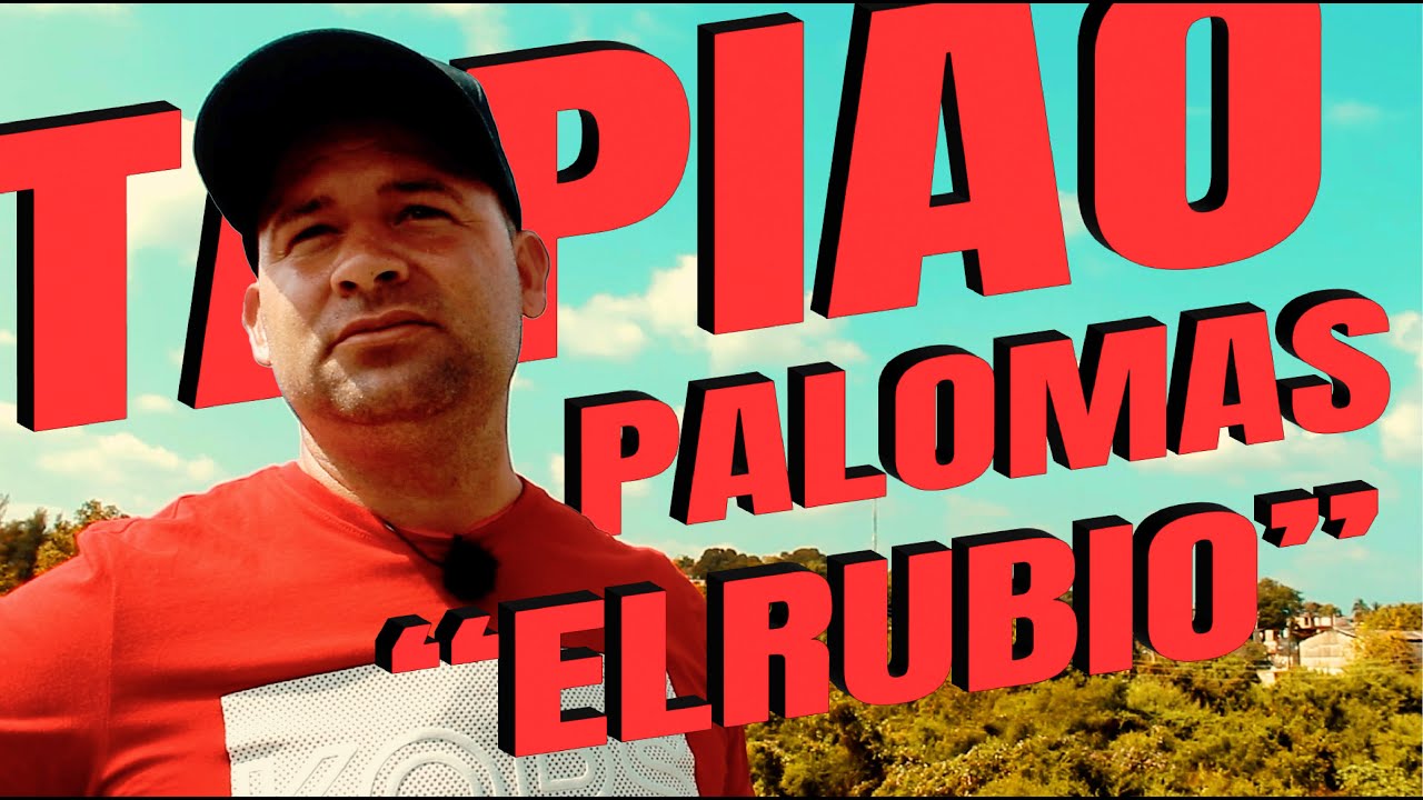 PALOMOS DE CONQUISTA 💥 TAPIAO de EL RUBIO en LAWTON 💥