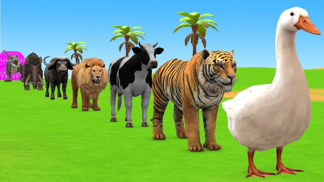 Long Slide Game with Cow Elephant Gorilla Hippopotamus Tiger 3d Animal Game Funny 3d Animals