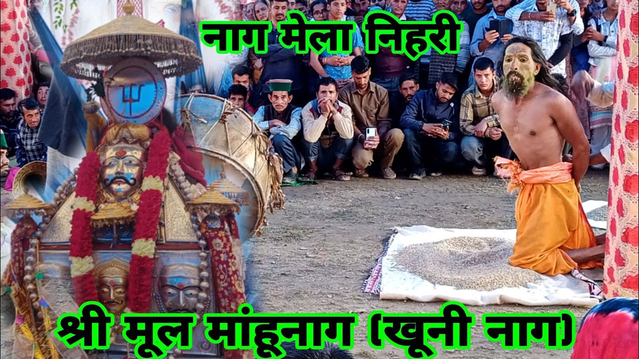 मेरे गांव का मेला  || श्री मूल मांहूनाग (खूनी नाग खाते हे कच्चे जौ ) देवता जी का झाड़ा और नृत्य ||