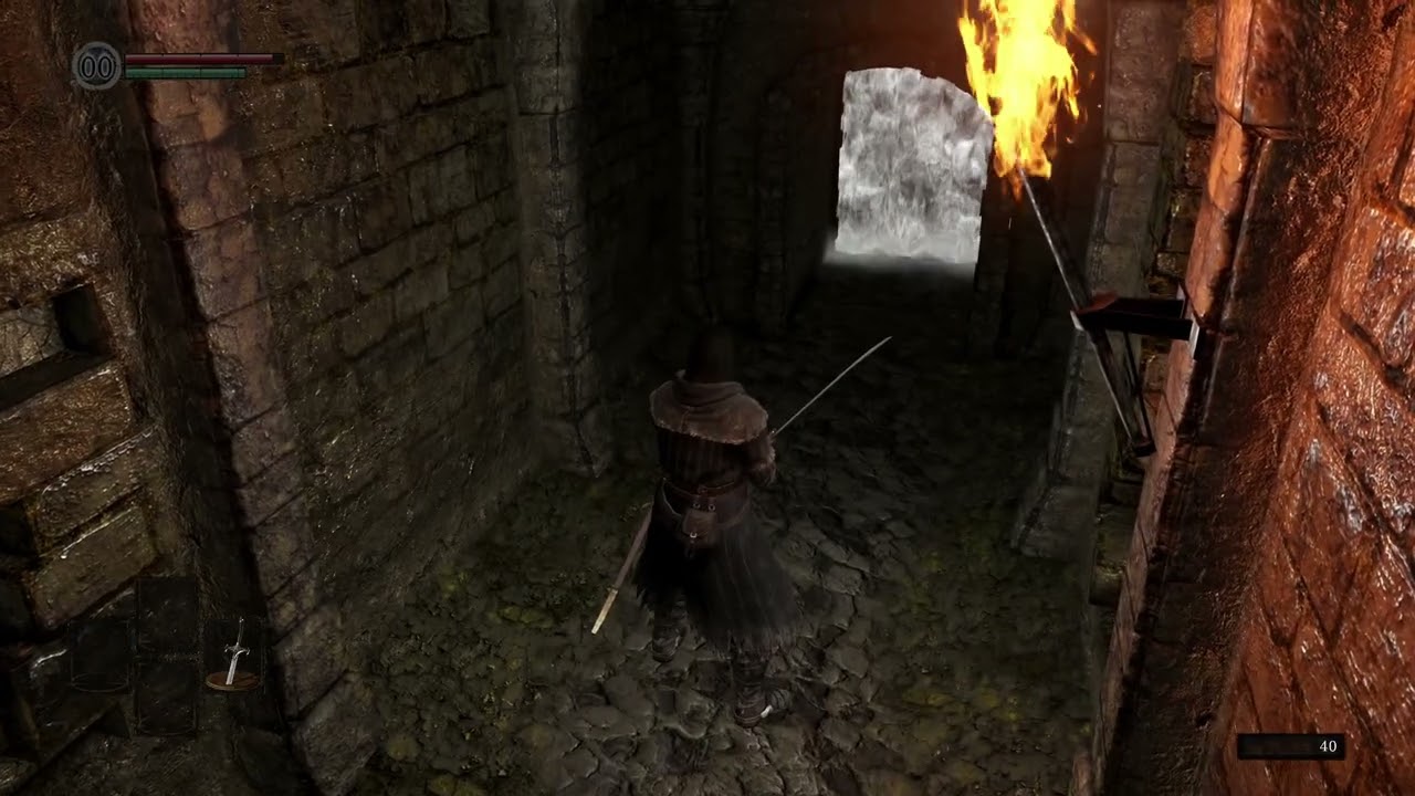 L'épopée des Deux Carcasses | Dark Souls Remastered #1