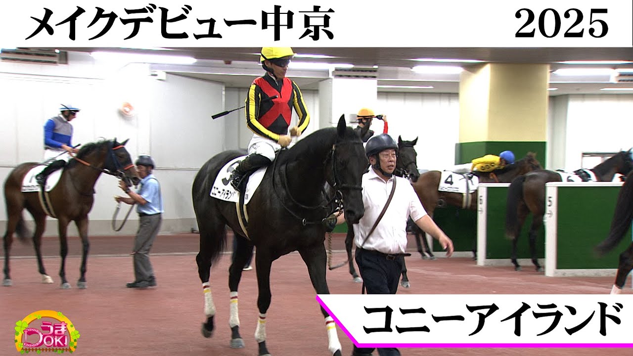 リバティアイランドの半妹がデビュー勝ち！「コニーアイランド」【うまDOKI】