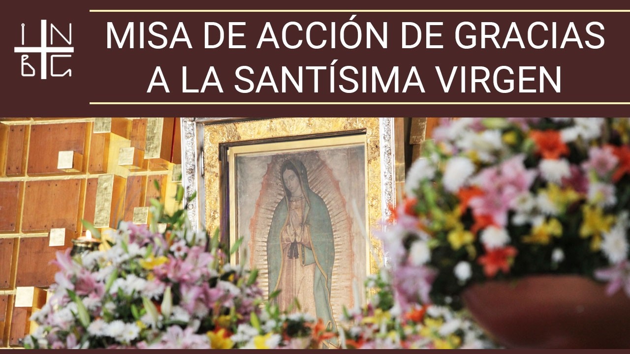 XV años: Regina Alicia González Ramírez,  27 de febrero de 2026, 19:00 h.