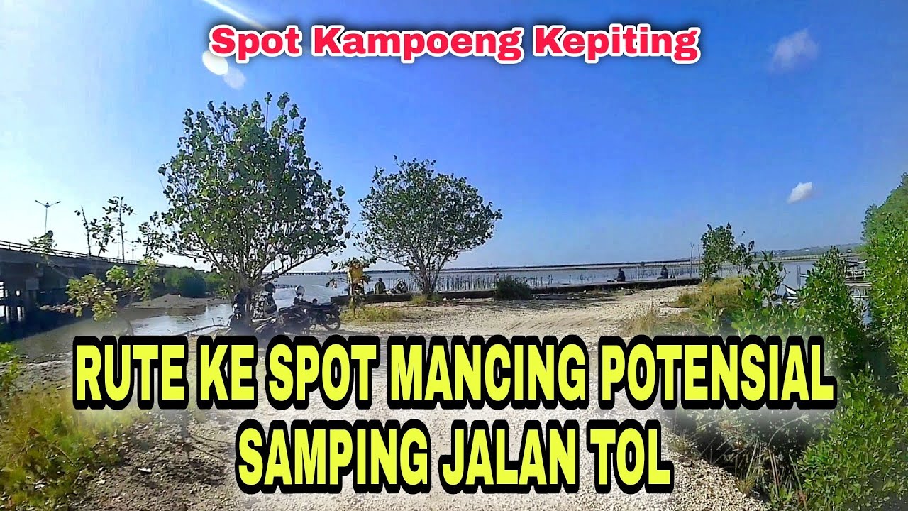 INFO RUTE DAN DUA SPOT POTENSIAL MANCING IKAN MUDUK SIRIP KUNING DI AREA KAMPUNG KEPITING