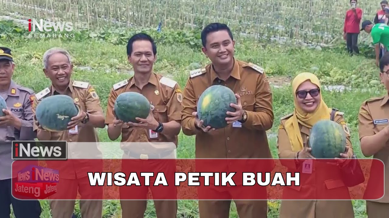 Agrowisata Hits Klaten! Bupati Hamenang Resmikan Wisata Petik Buah Terbaru 🍉