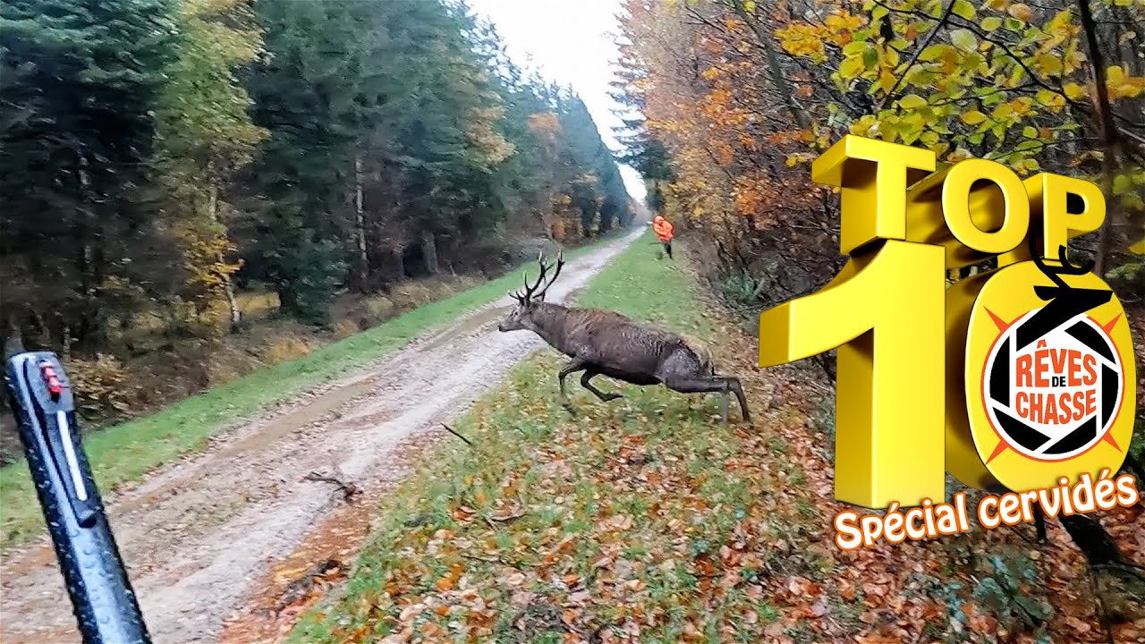 Top 10 Rêves De Chasse n°5 - Février 2023 - Edition spéciale "Grands Cervidés"