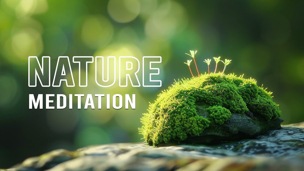 Nature Meditation Relaxing  by DanaMusic (Royalty-Free Background Music)
