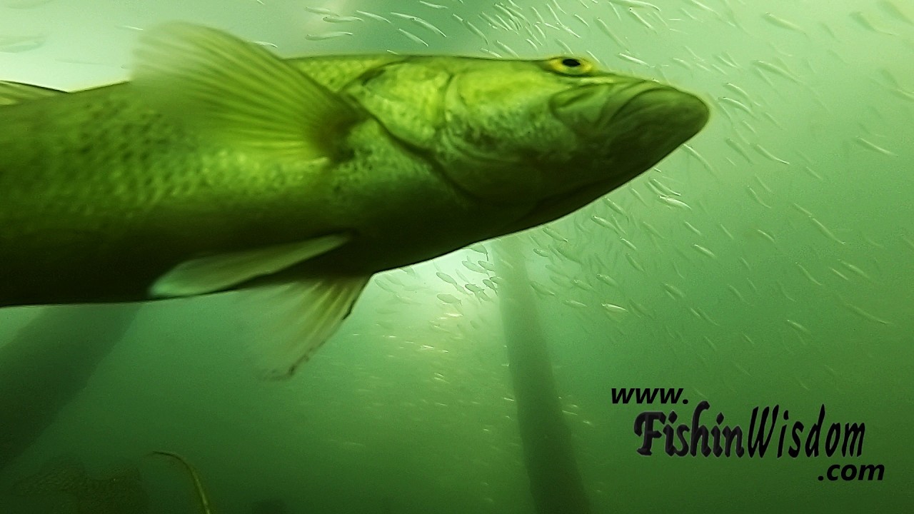 -Time Lapse 008-