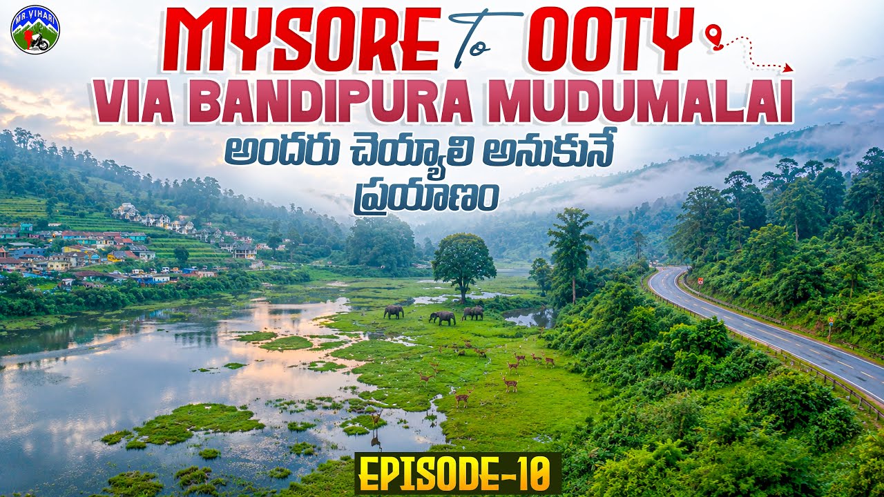 Mysore to Ooty road trip via Bandipura forest | Mudumalai tiger reserve | Mysuru |