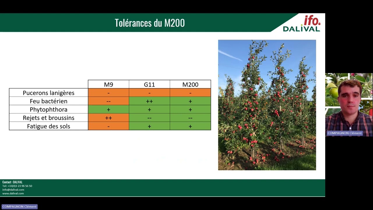 Présentation du porte-greffe M200 en français